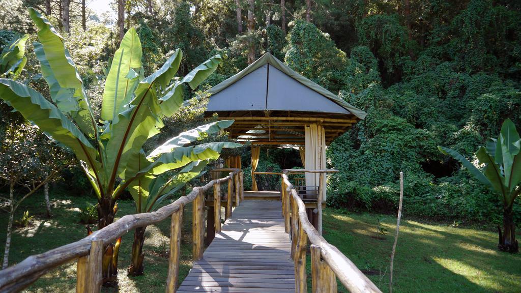 فندق San José Pinulaفي  El Tular Santuario Natural المظهر الخارجي الصورة