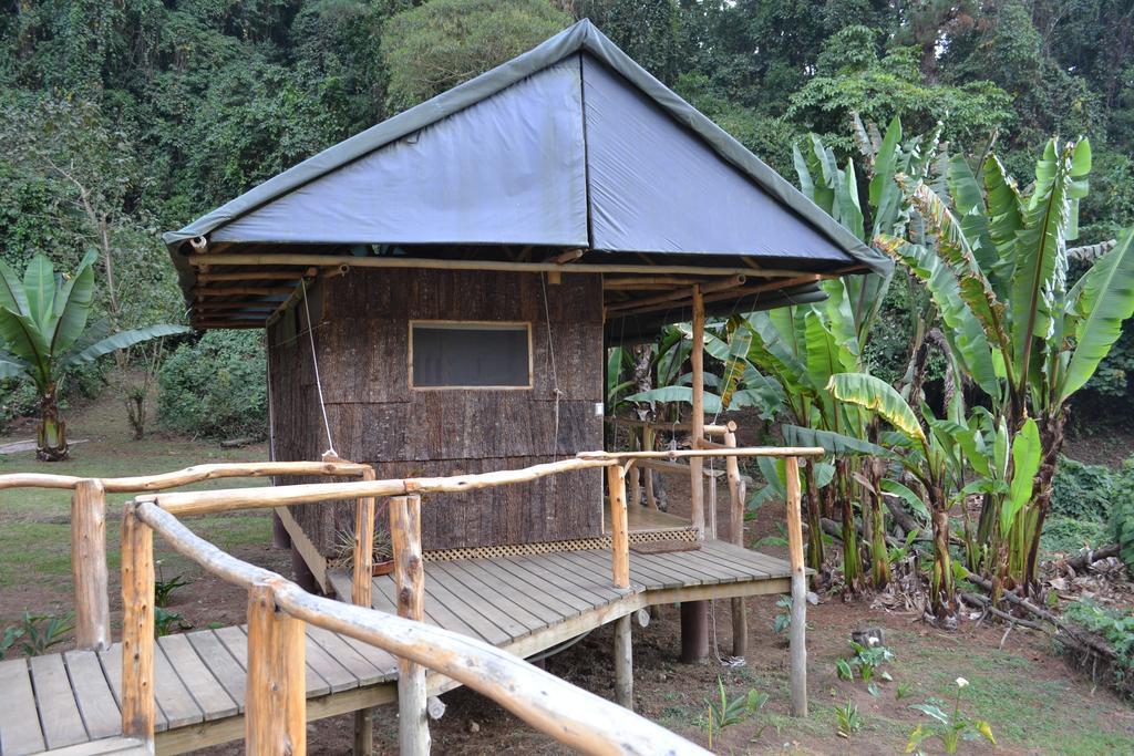 فندق San José Pinulaفي  El Tular Santuario Natural الغرفة الصورة