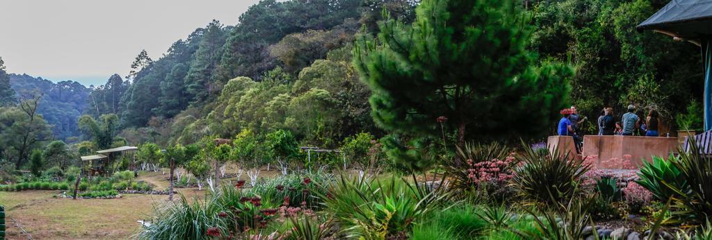 فندق San José Pinulaفي  El Tular Santuario Natural المظهر الخارجي الصورة